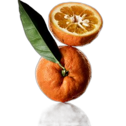 Bitter Orange